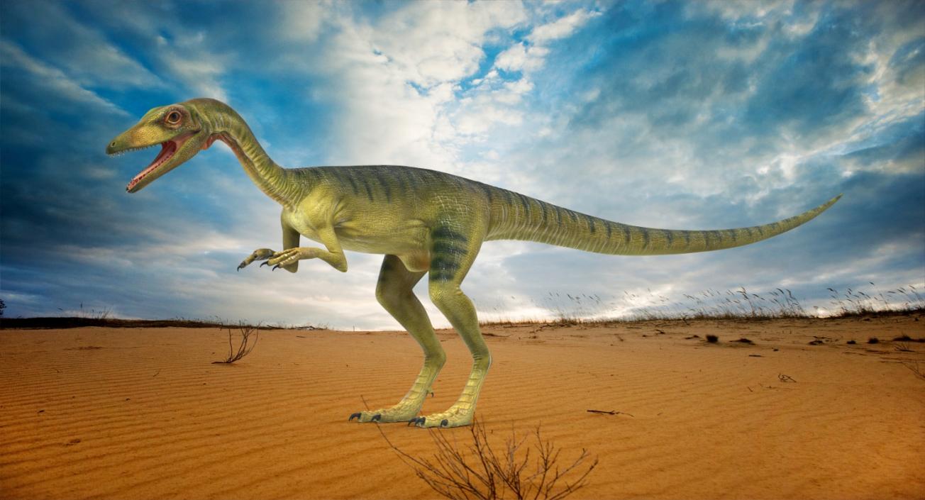 Dinosaurs 3D Models Collection 4 3D