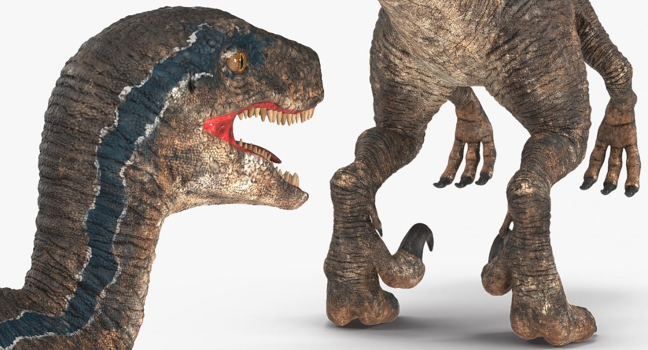 Dinosaurs 3D Models Collection 4 3D