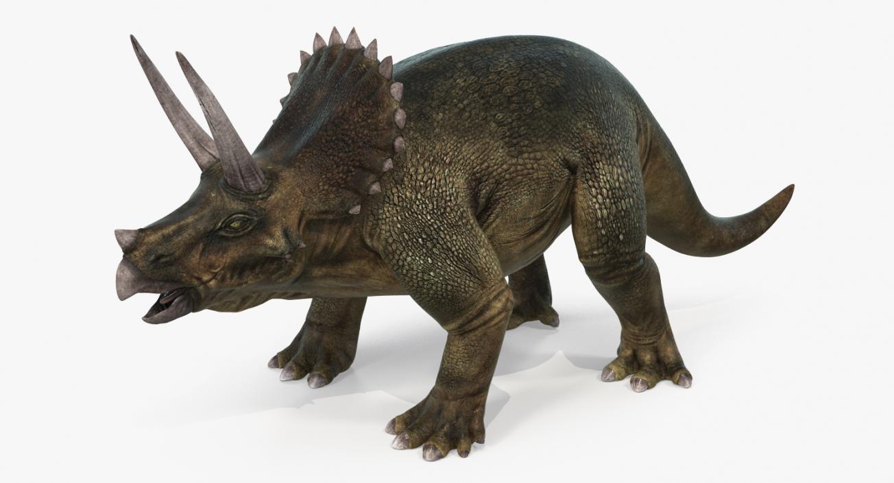 Dinosaurs 3D Models Collection 4 3D