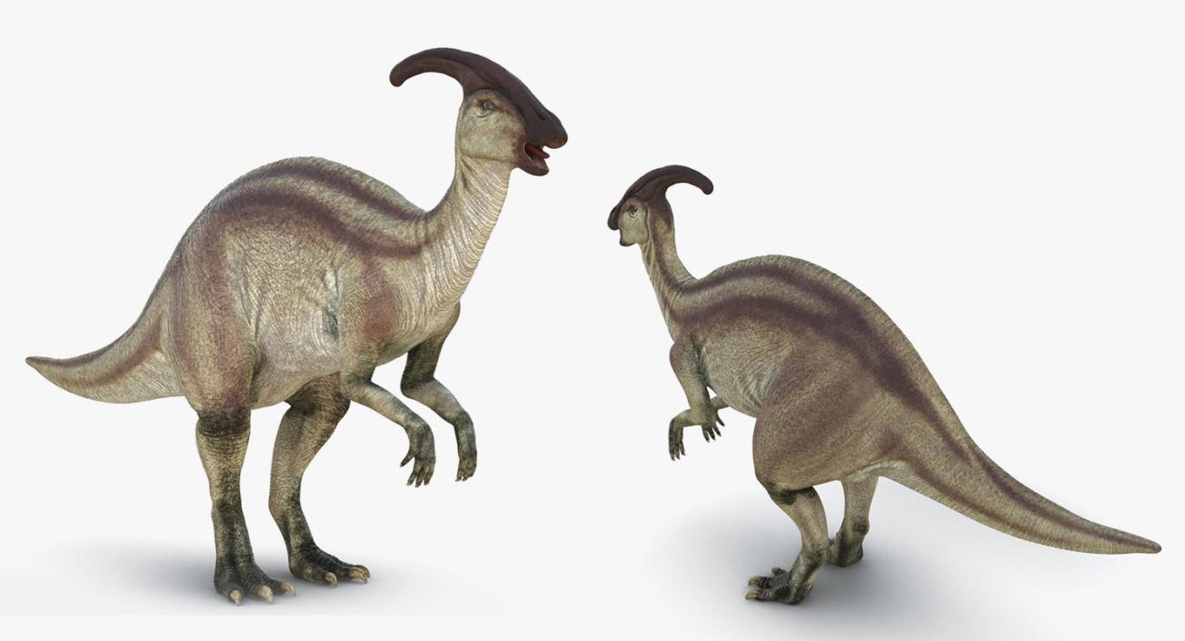 Dinosaurs 3D Models Collection 4 3D