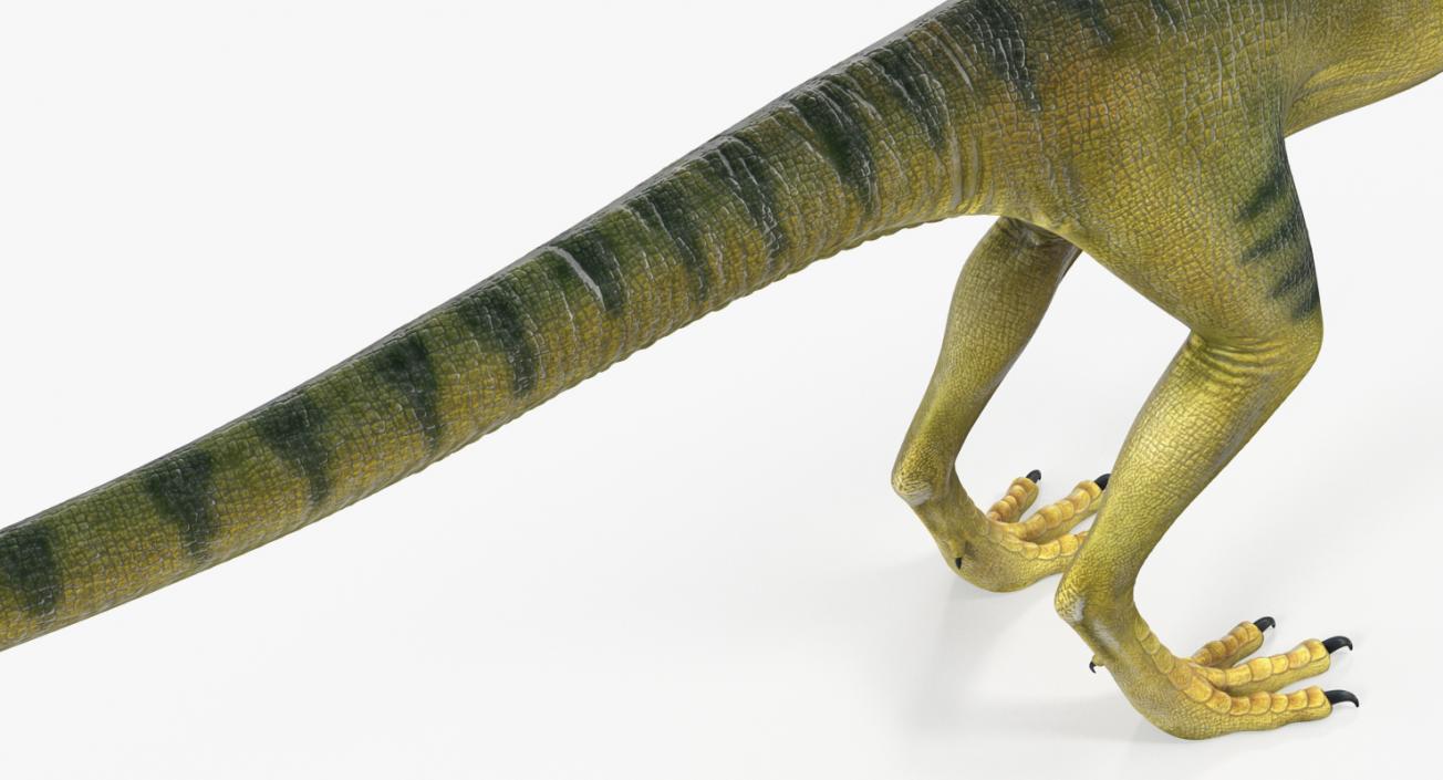 Dinosaurs 3D Models Collection 4 3D