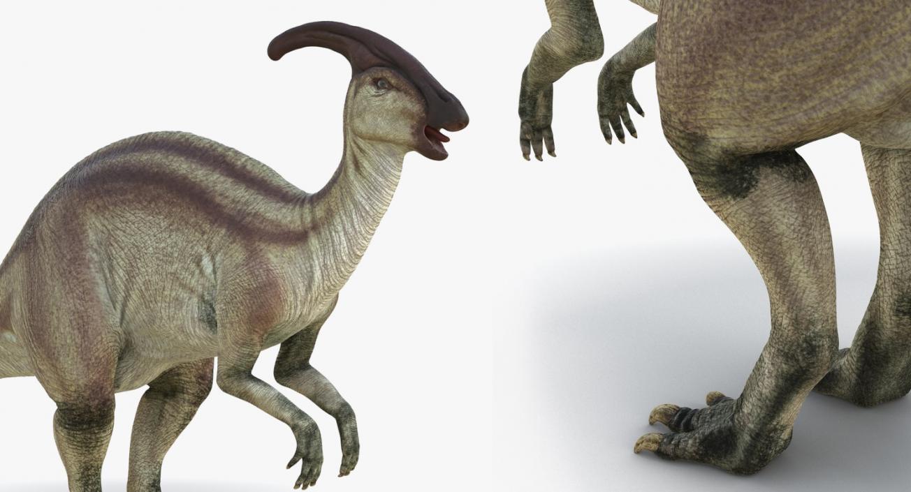 Dinosaurs 3D Models Collection 4 3D