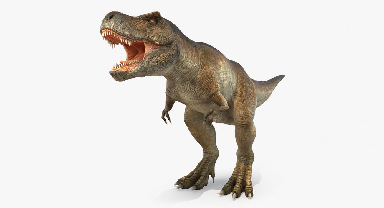 Dinosaurs 3D Models Collection 4 3D