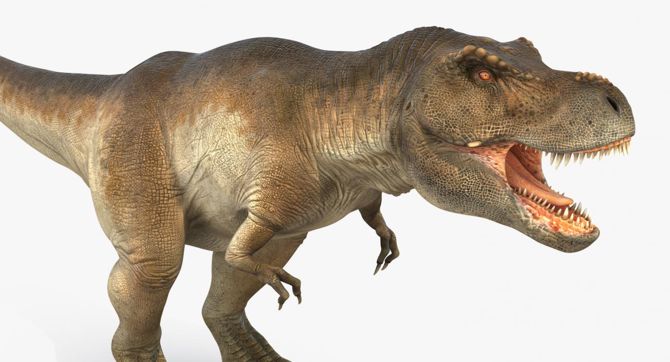 Dinosaurs 3D Models Collection 4 3D