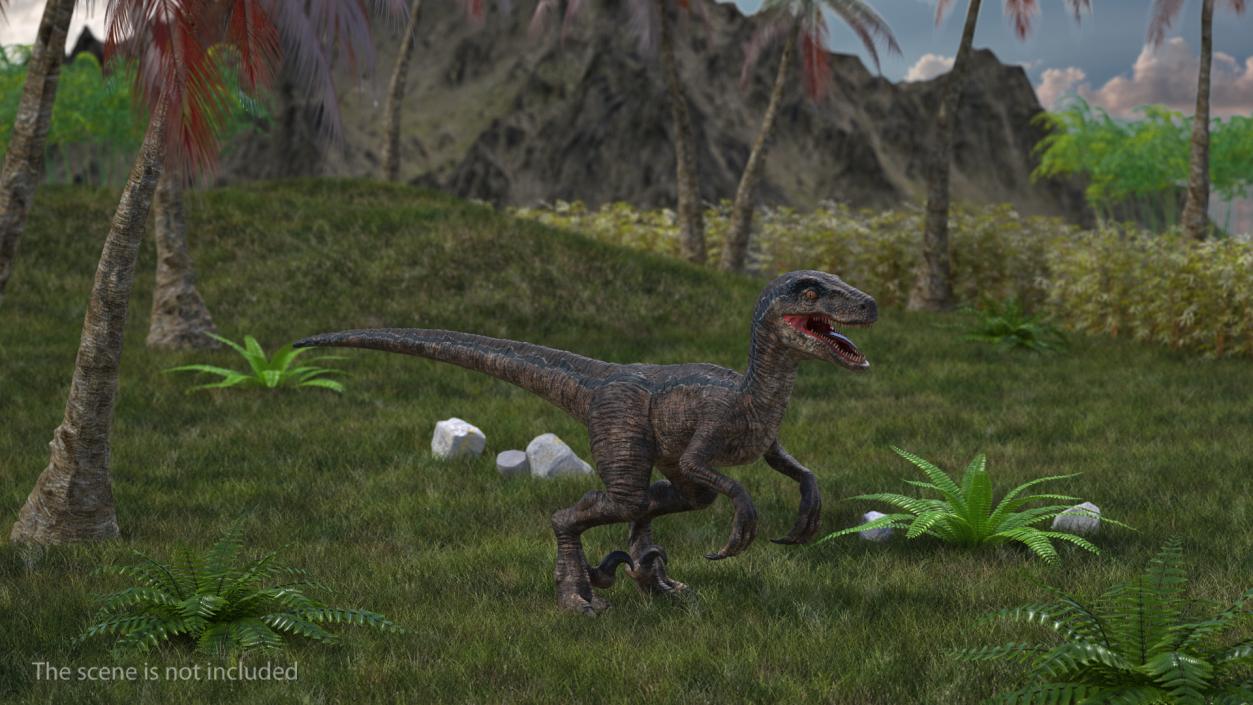 Dinosaurs 3D Models Collection 4 3D