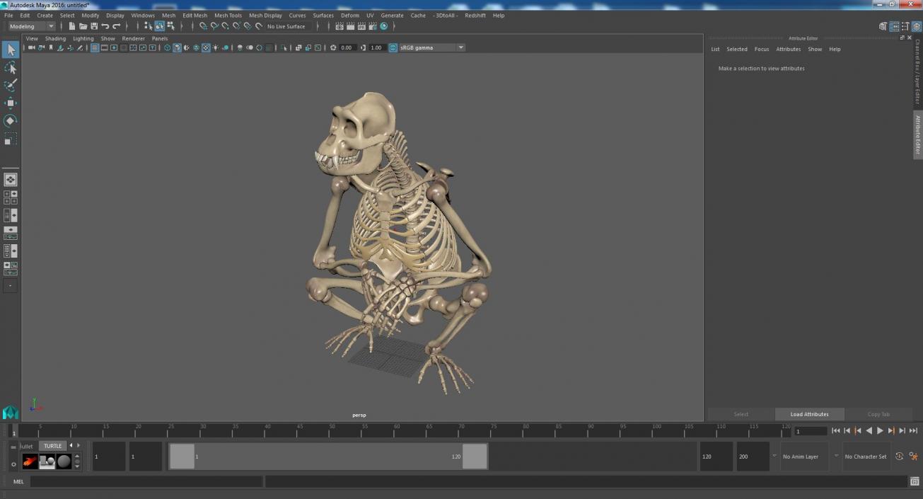 Gorilla Skeleton Sitting 3D model