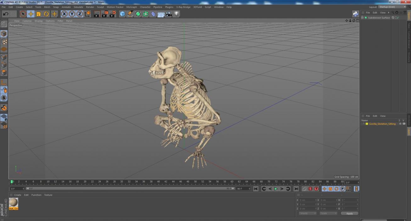 Gorilla Skeleton Sitting 3D model