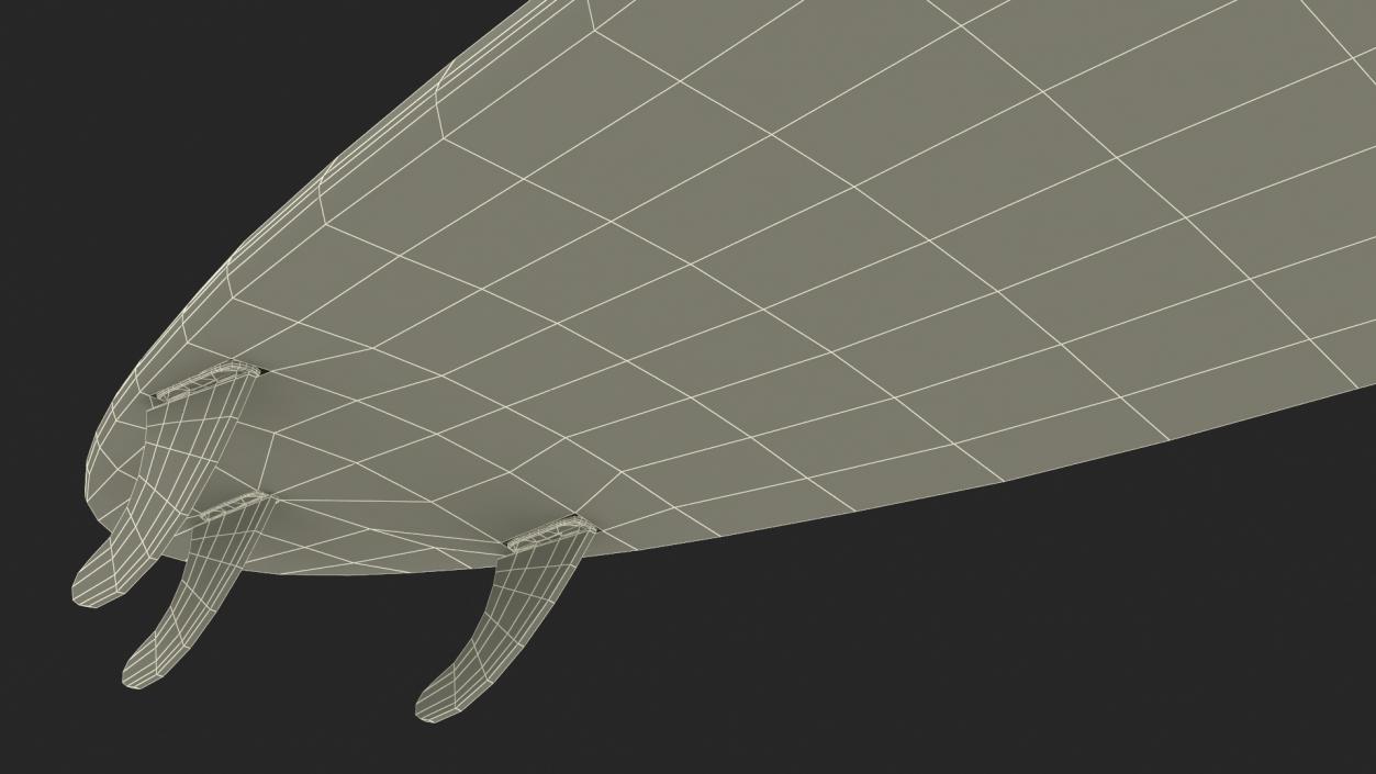 3D Funboard Surfboard model