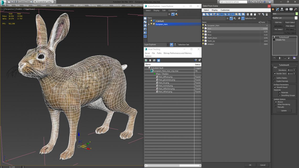 3D European Hare model