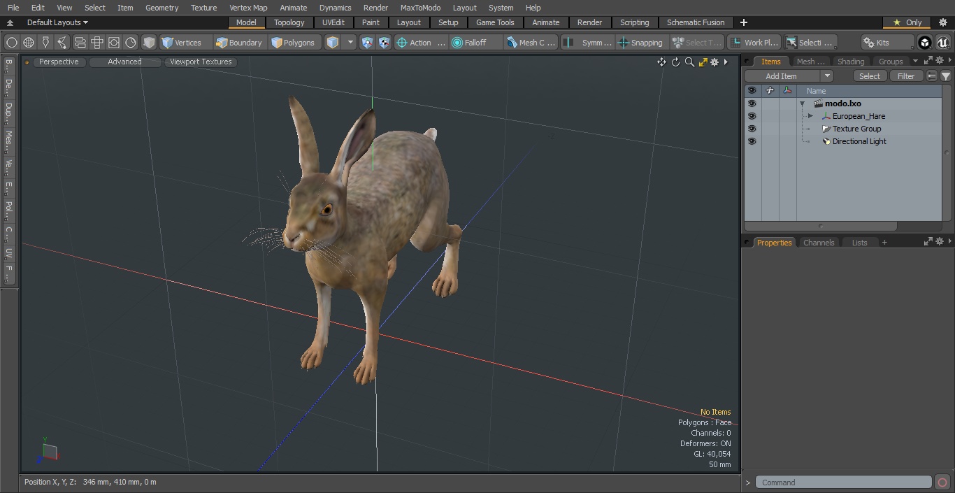 3D European Hare model