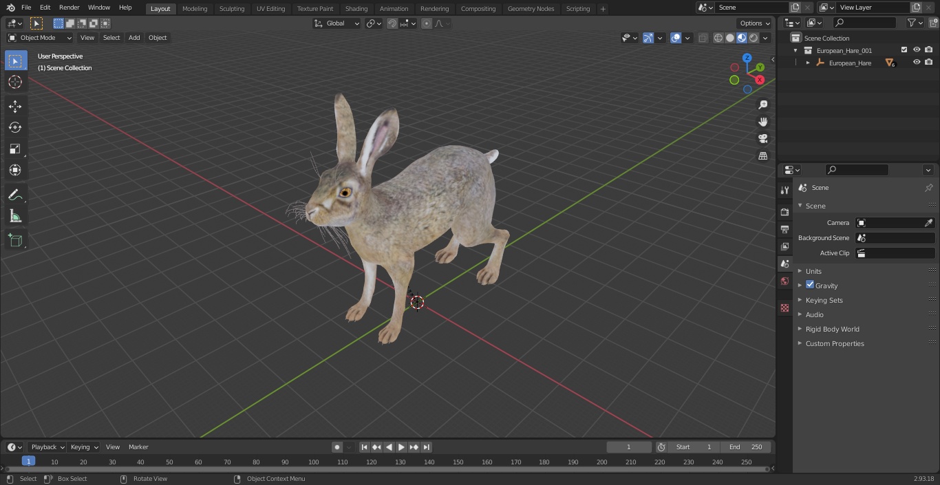 3D European Hare model