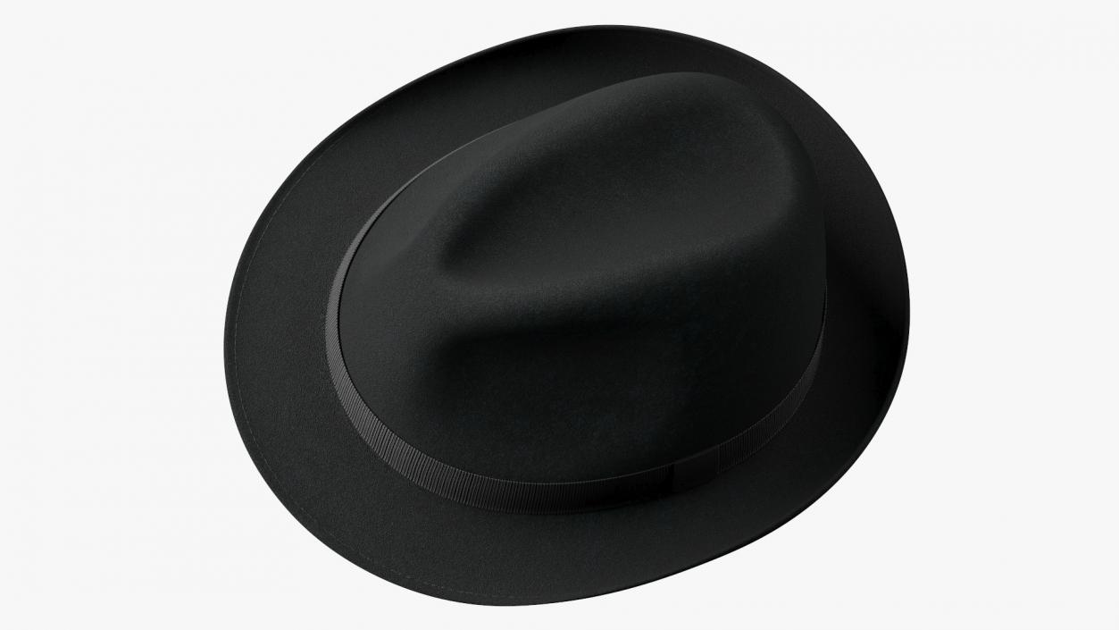 3D Black Fedora Hat