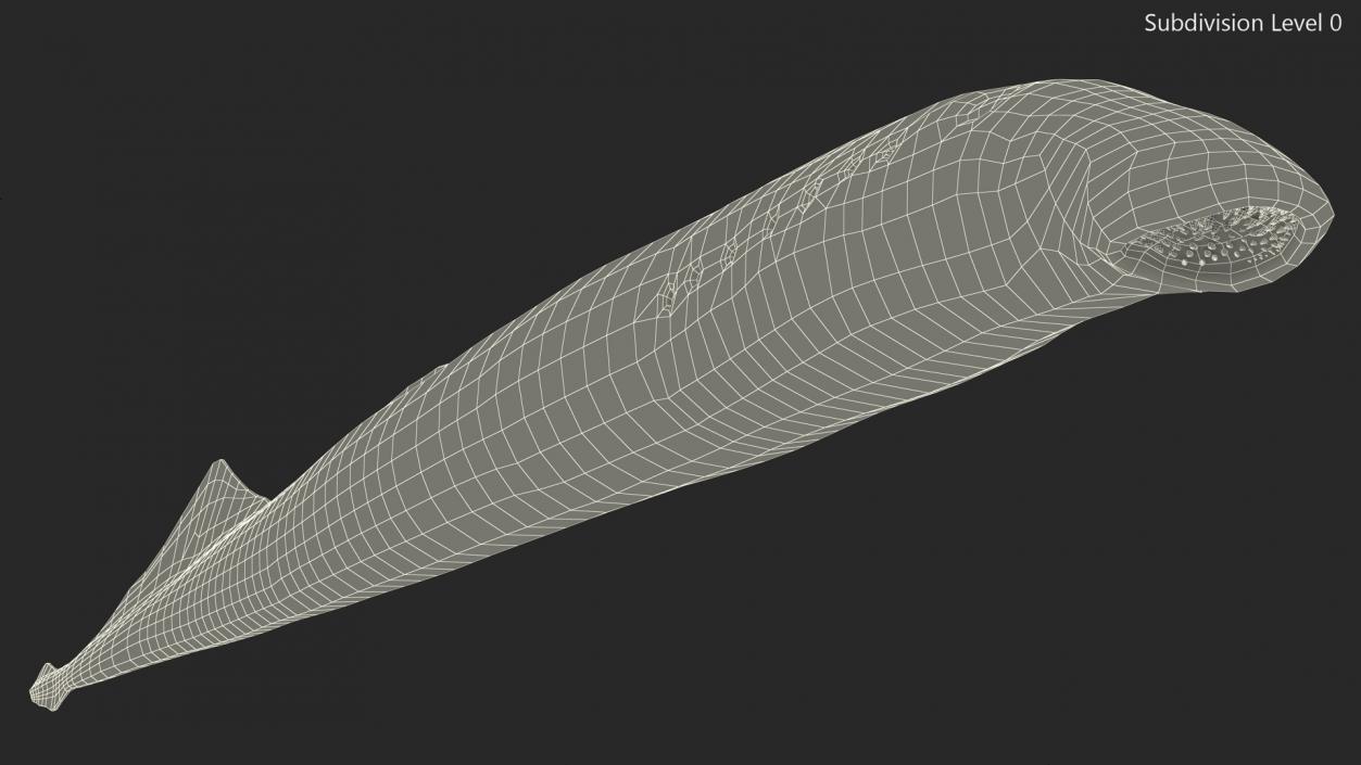 Lamprey Eel Basic Pose 3D