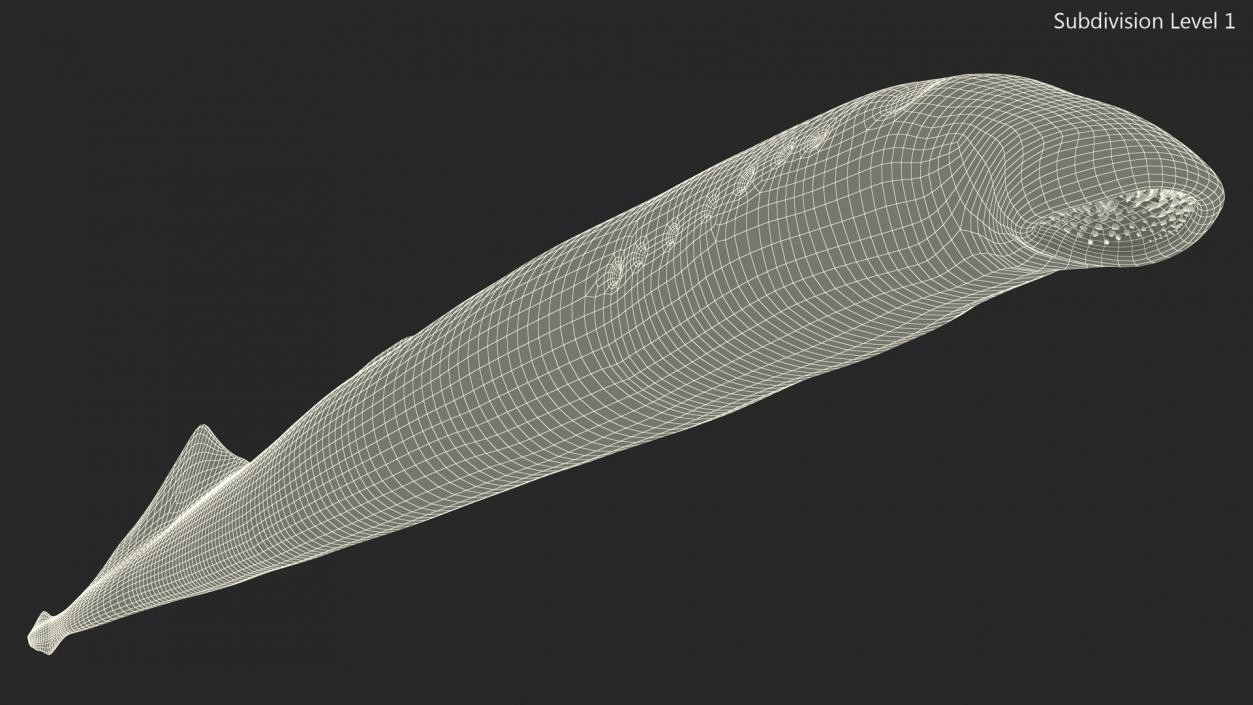 Lamprey Eel Basic Pose 3D