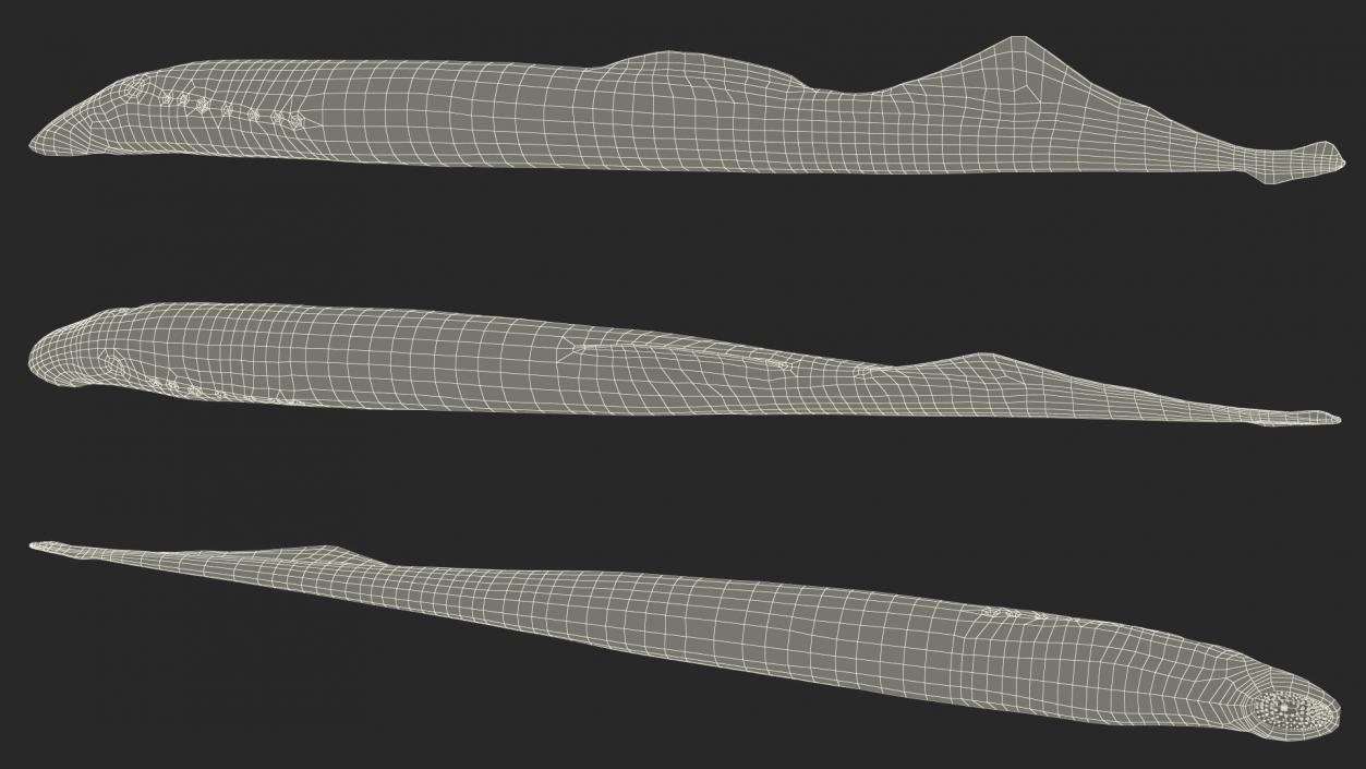 Lamprey Eel Basic Pose 3D