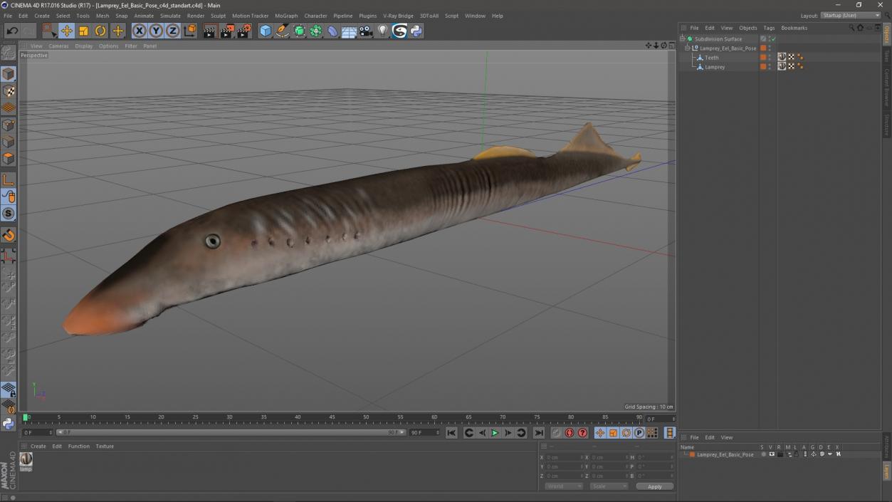 Lamprey Eel Basic Pose 3D