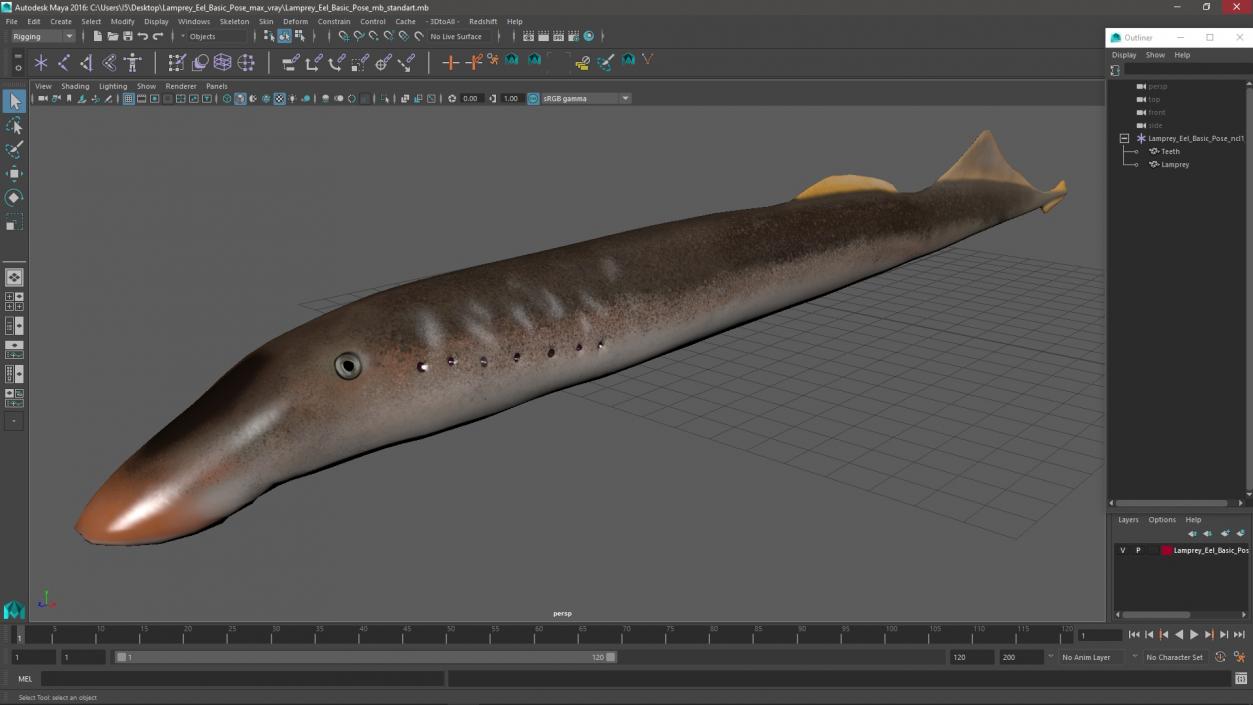 Lamprey Eel Basic Pose 3D