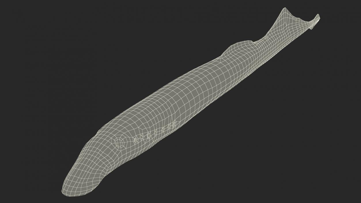 Lamprey Eel Basic Pose 3D