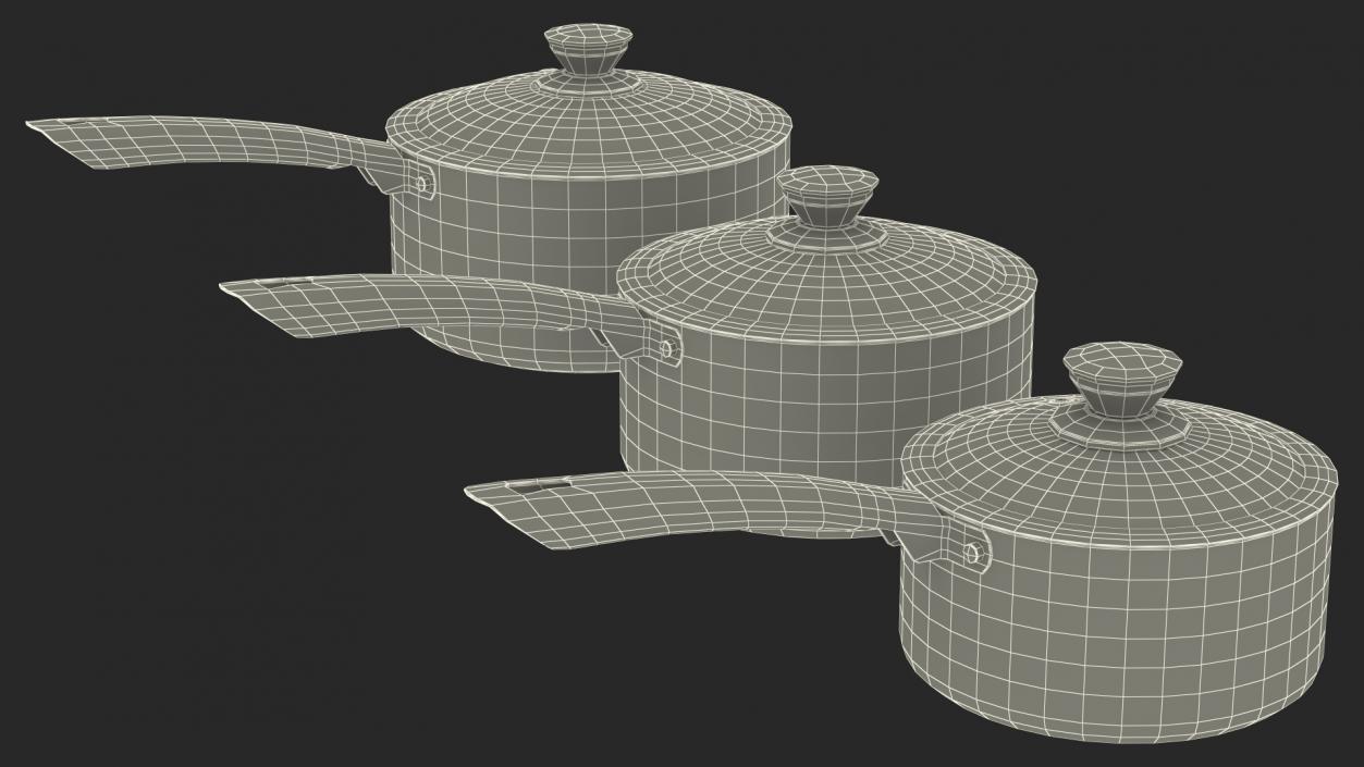 3D model Saucepan Set Generic