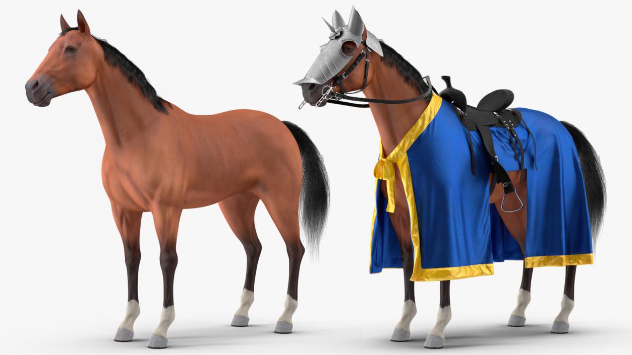 3D model Knight Horse Blanket with Rider Fur