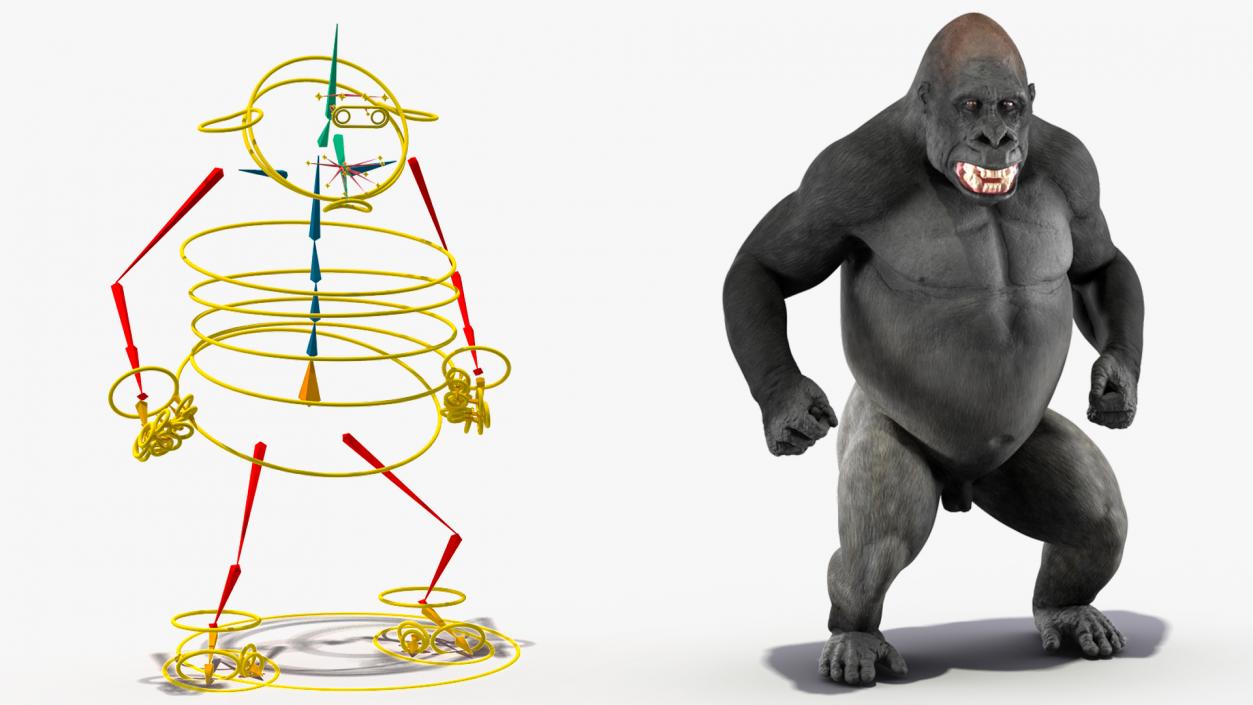 3D Roaring Gorilla Animated Rigged