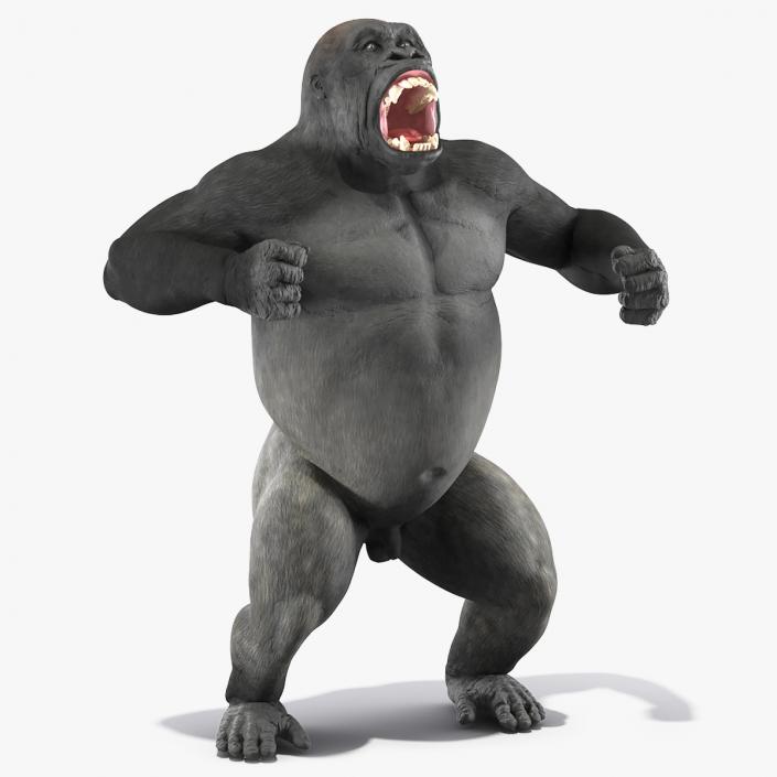 3D Roaring Gorilla Animated Rigged