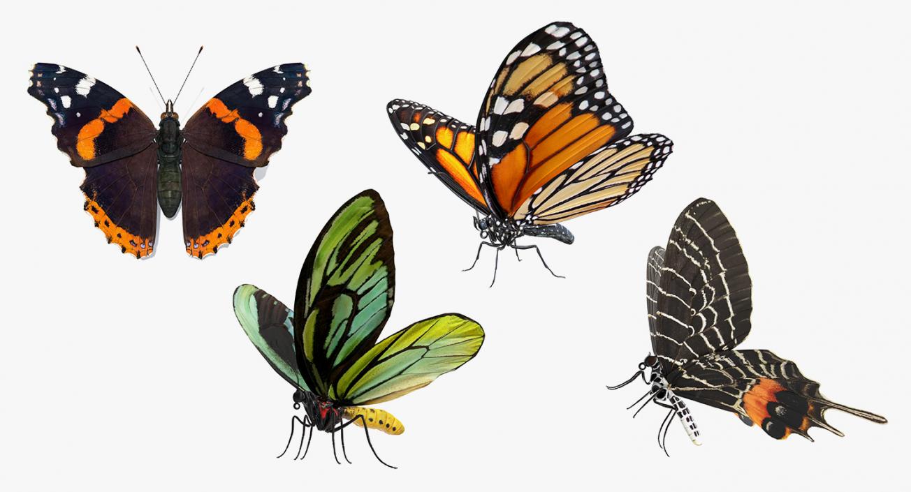 Butterflies Collection 3 3D model