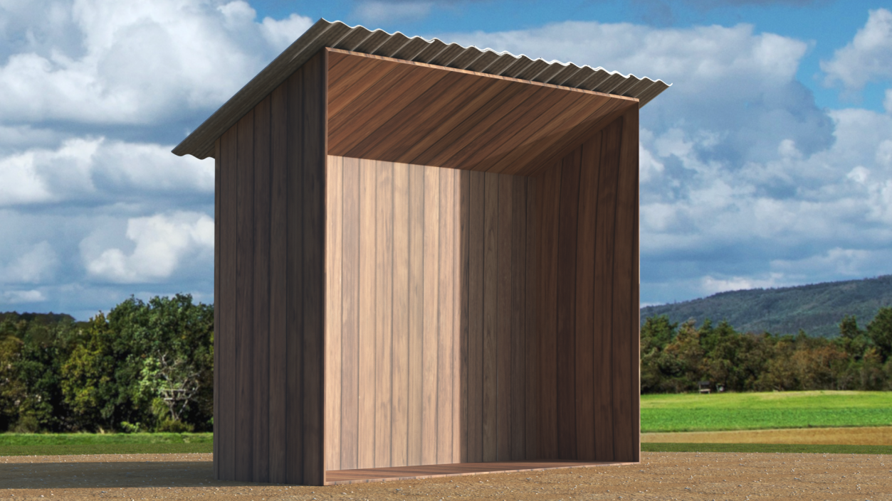 3D model Old Wooden Shed