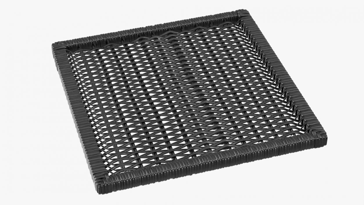 3D Rattan Panel Black model