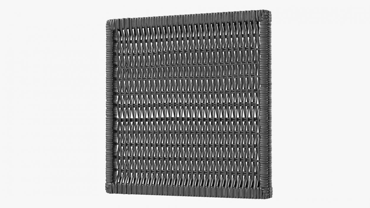 3D Rattan Panel Black model