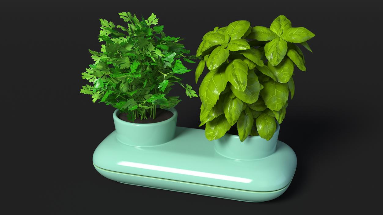 Herbs in Double Pot Sagaform Green 3D model