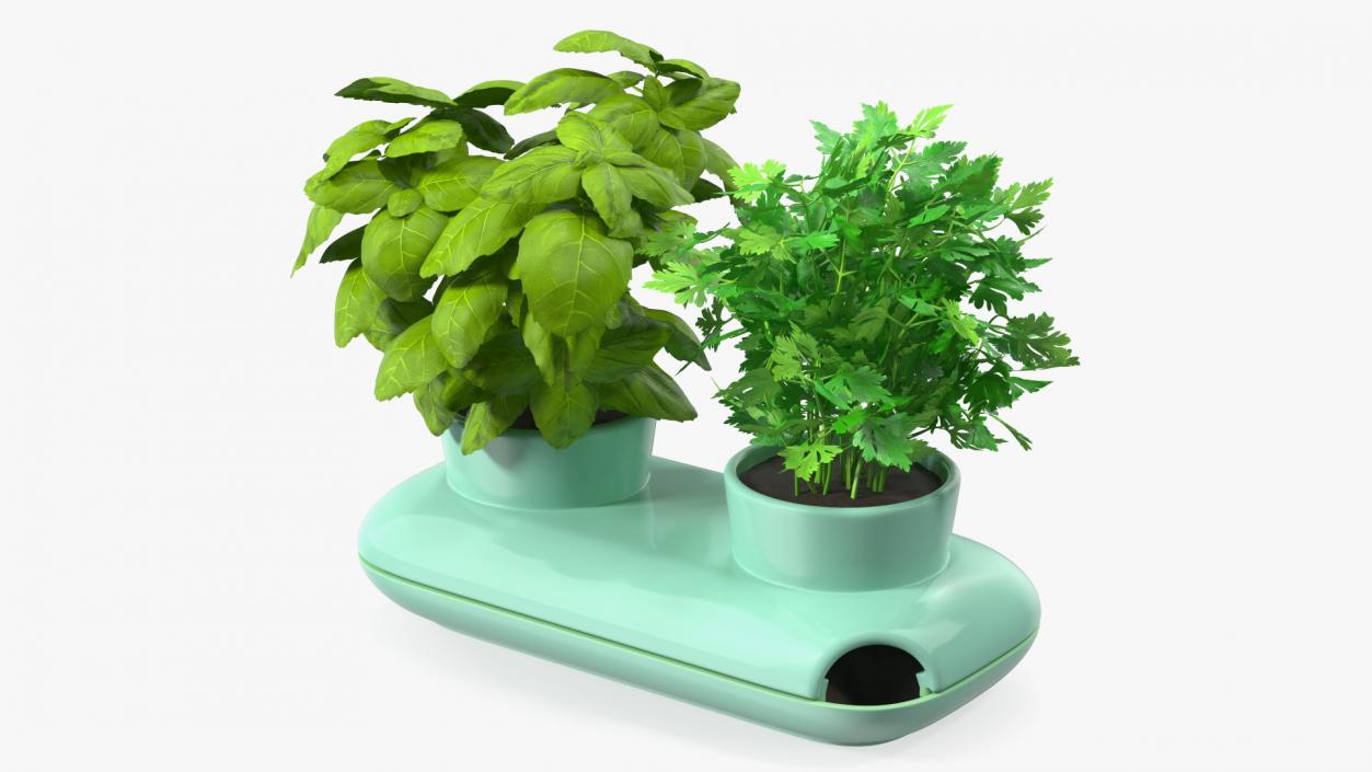 Herbs in Double Pot Sagaform Green 3D model