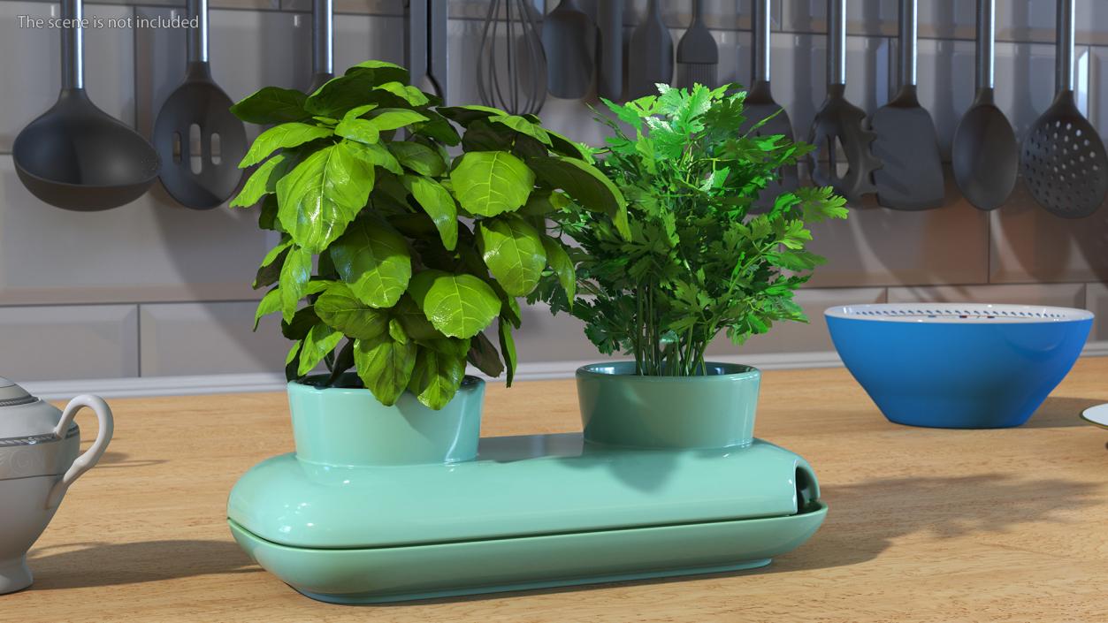 Herbs in Double Pot Sagaform Green 3D model