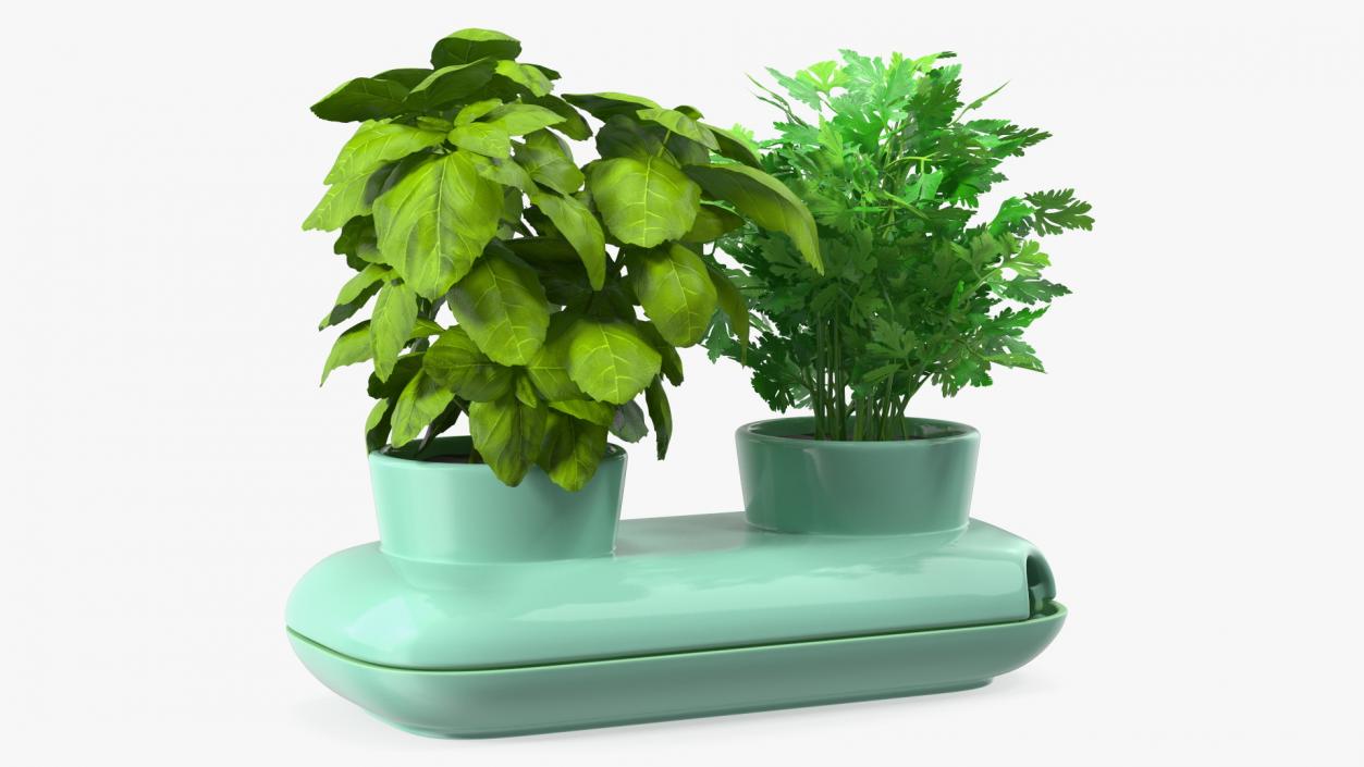 Herbs in Double Pot Sagaform Green 3D model