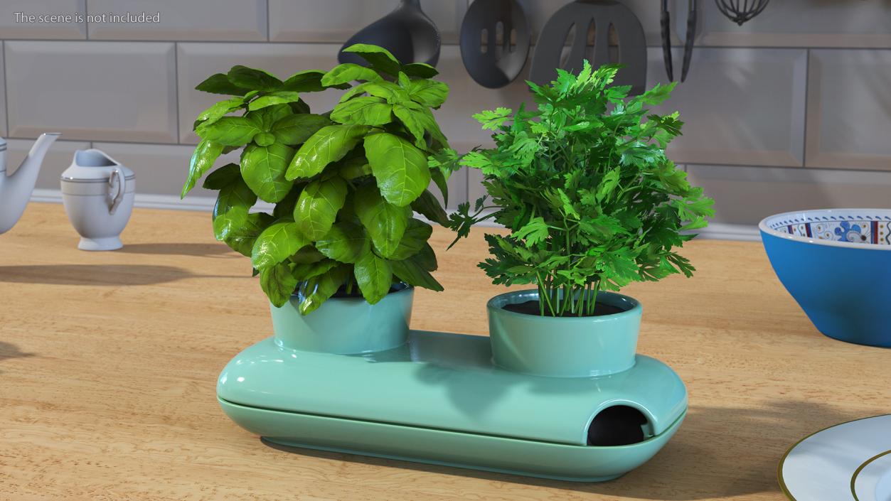 Herbs in Double Pot Sagaform Green 3D model