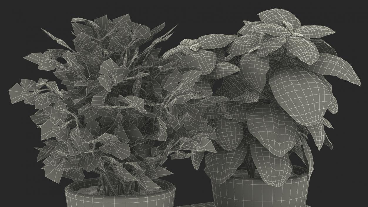 Herbs in Double Pot Sagaform Green 3D model