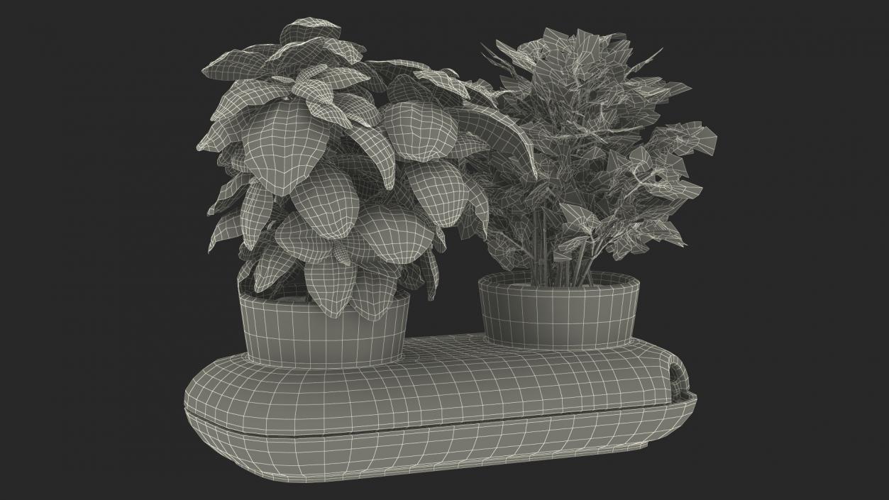 Herbs in Double Pot Sagaform Green 3D model