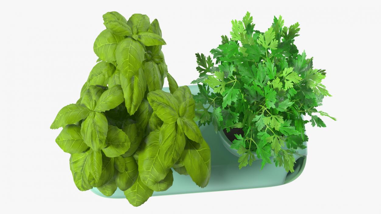 Herbs in Double Pot Sagaform Green 3D model