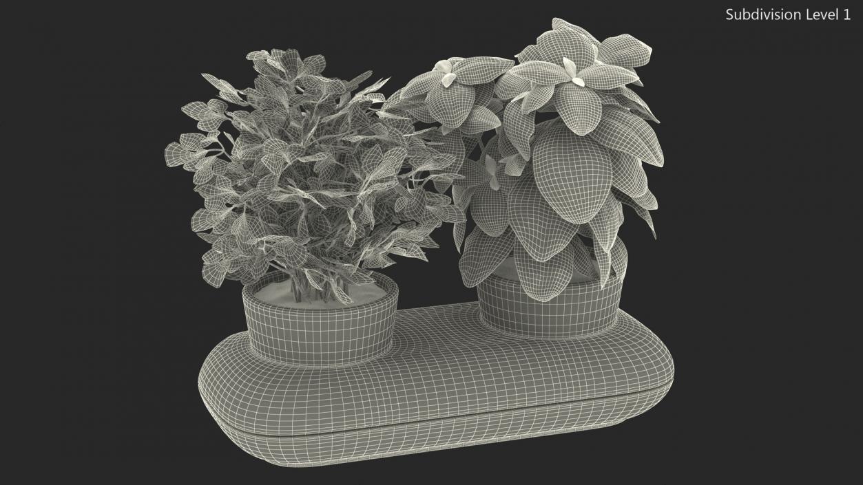 Herbs in Double Pot Sagaform Green 3D model