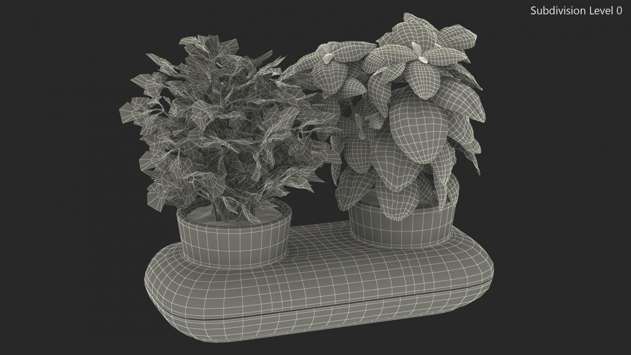 Herbs in Double Pot Sagaform Green 3D model