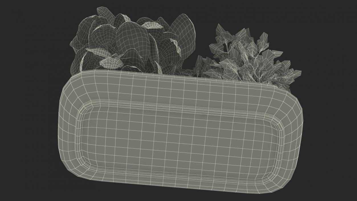 Herbs in Double Pot Sagaform Green 3D model