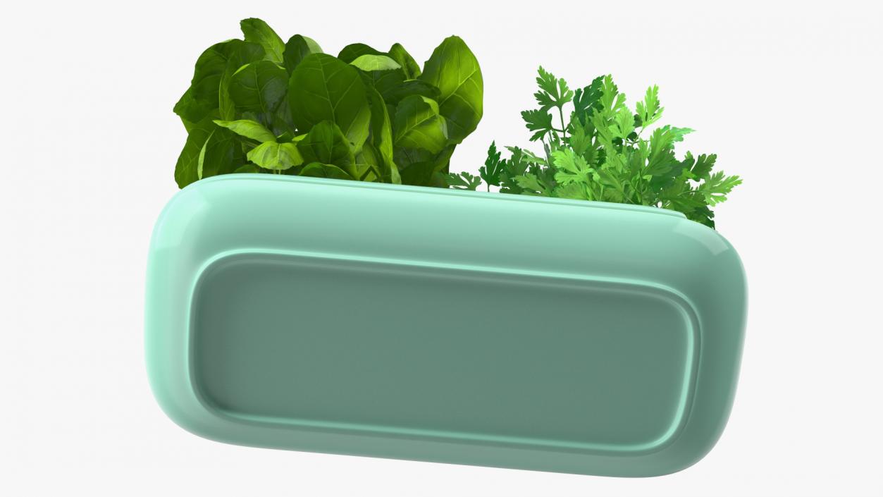 Herbs in Double Pot Sagaform Green 3D model