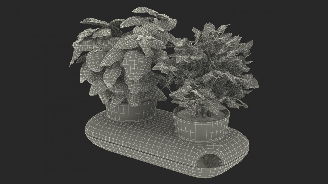 Herbs in Double Pot Sagaform Green 3D model