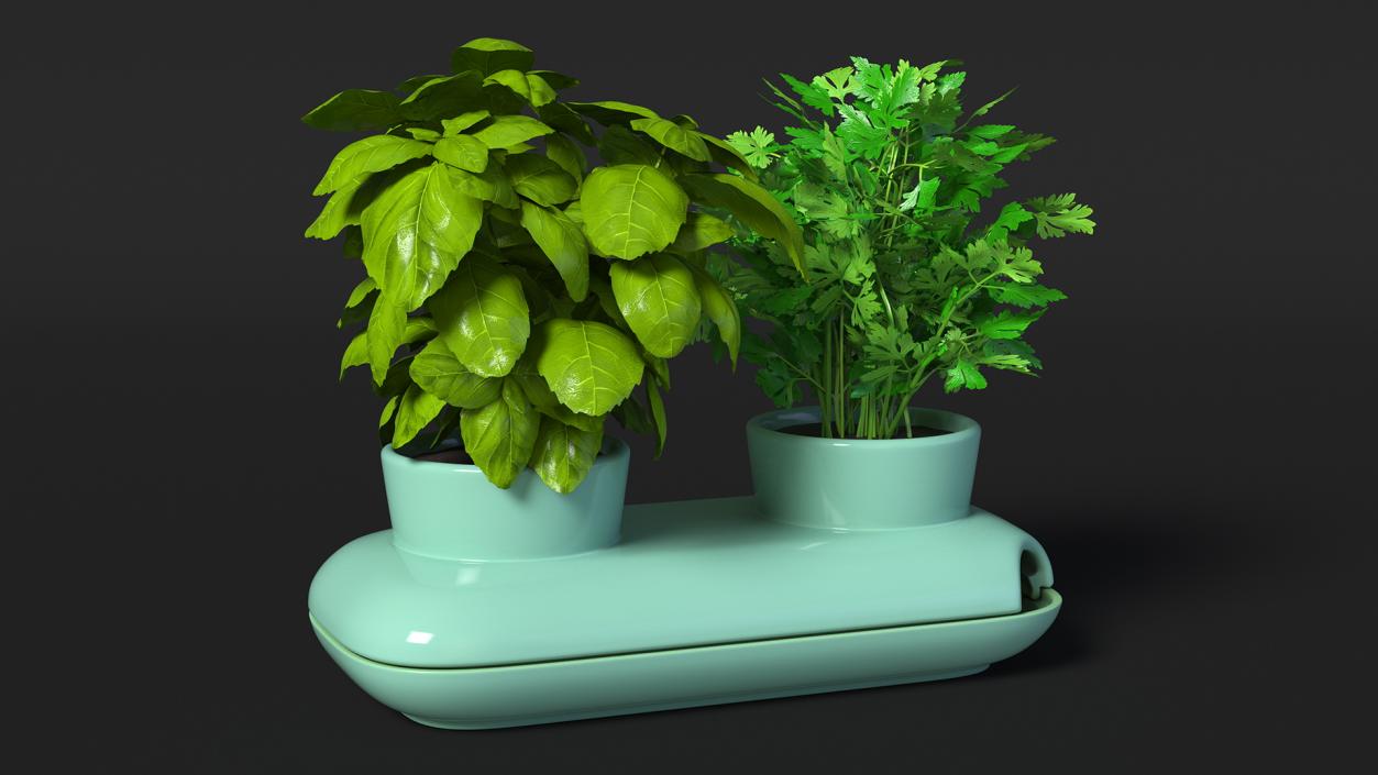 Herbs in Double Pot Sagaform Green 3D model