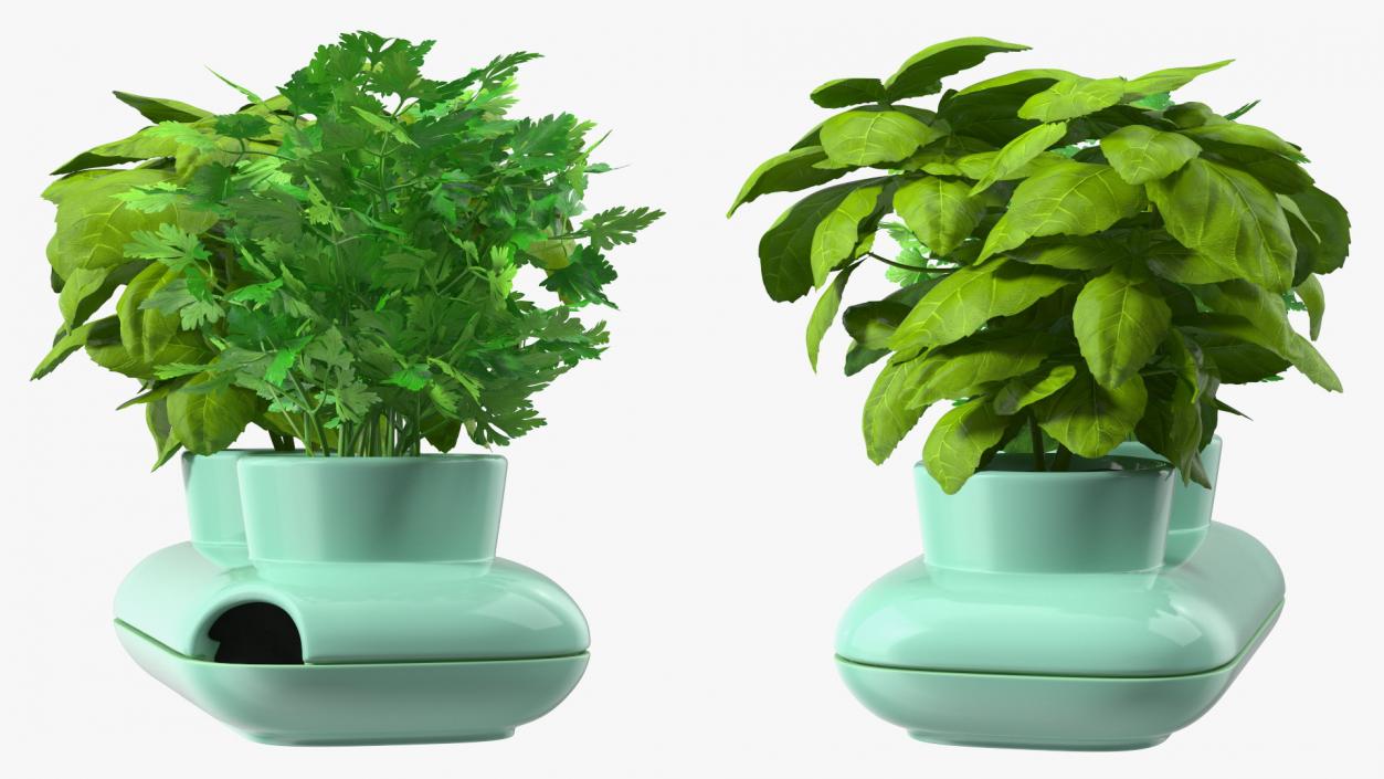 Herbs in Double Pot Sagaform Green 3D model