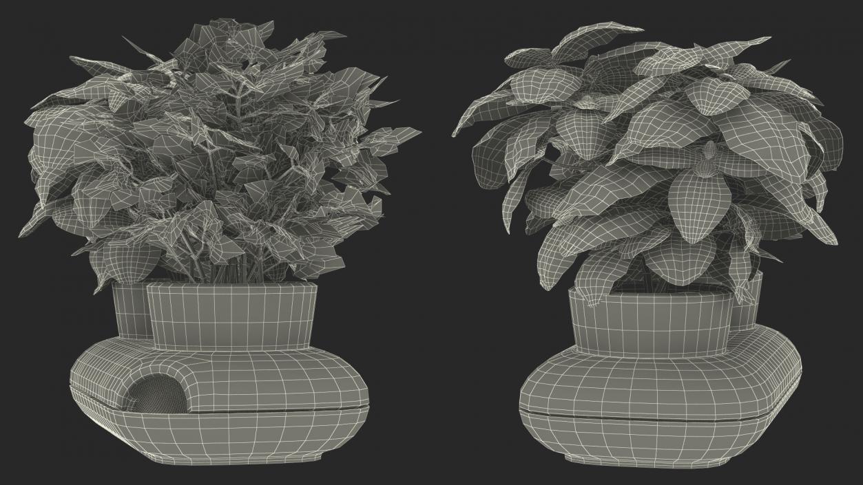 Herbs in Double Pot Sagaform Green 3D model