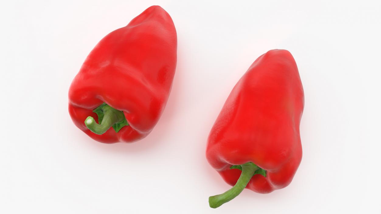 3D model Red Long Pepper