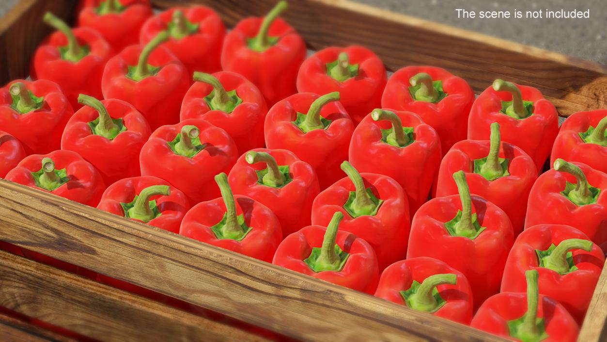 3D model Red Long Pepper