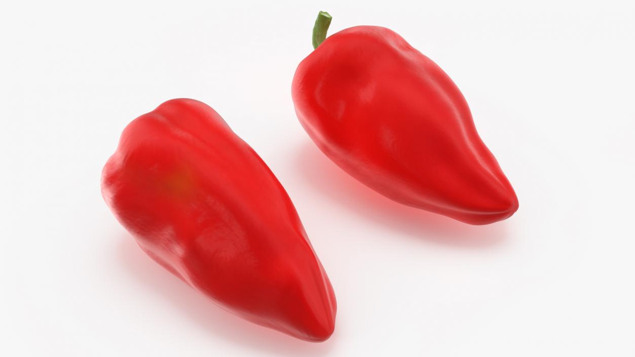 3D model Red Long Pepper