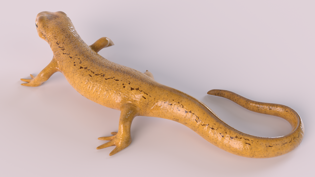 European Newt Crawling Pose 3D